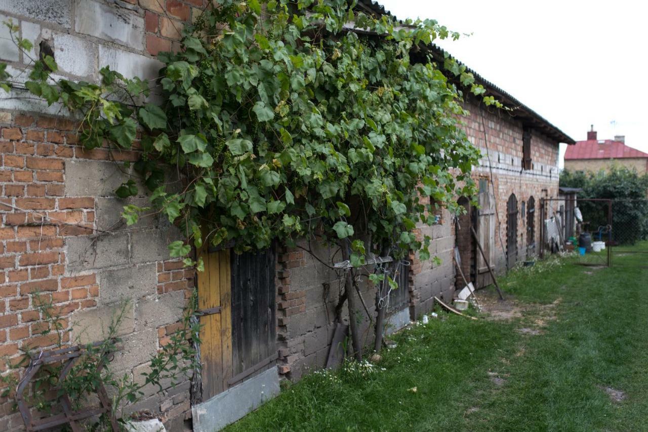 Agroturystyka Karpinscy Wizna Esterno foto
